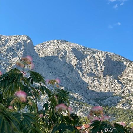 Heaven'S View Apartments Baska Voda Exterior photo