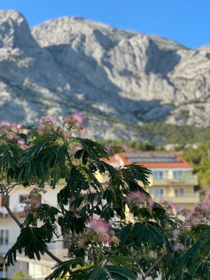 Heaven'S View Apartments Baska Voda Exterior photo